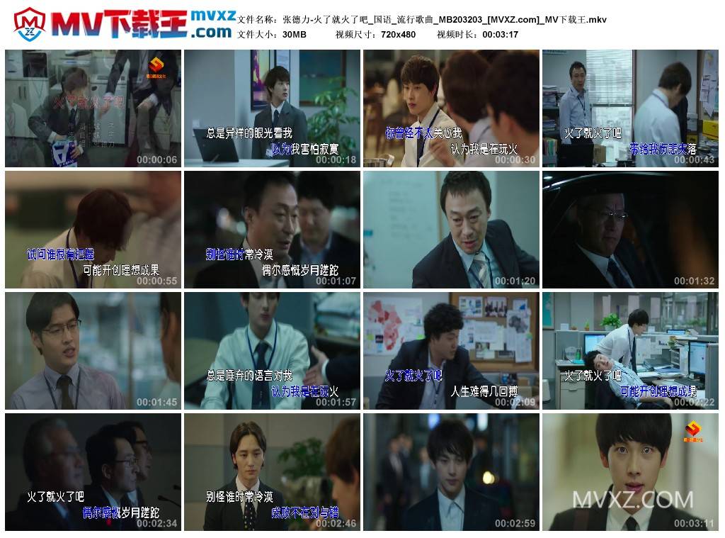 张德力-火了就火了吧_国语_流行歌曲_MB203203